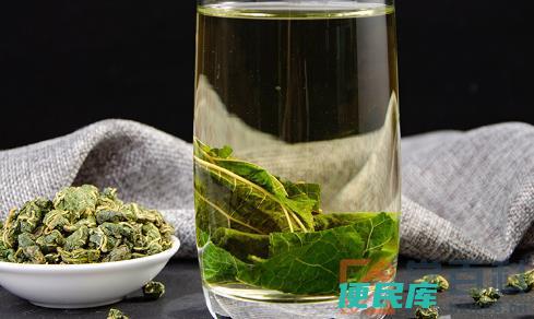 桑叶茶功效解析（介绍桑叶茶的作用和功效）