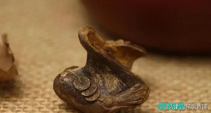 沉香木和沉香的区别（沉香木和沉香有什么区别与联系）