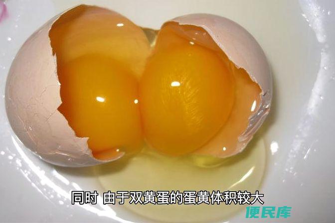 双黄蛋是怎么形成的（神秘而诡异的双黄蛋的成因解析）