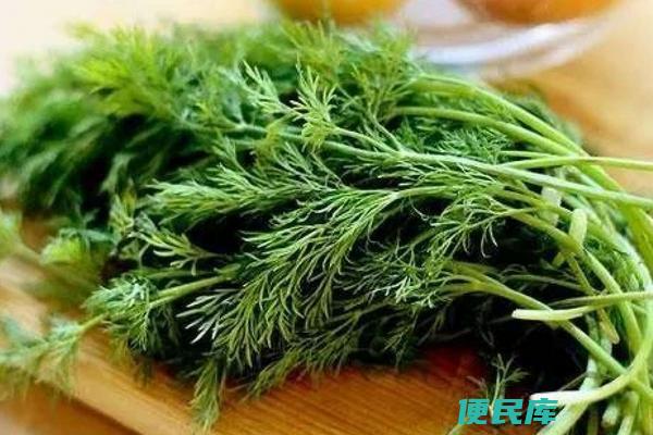 莳萝与茴香的区别解析（比较莳萝和茴香的特点和用途）