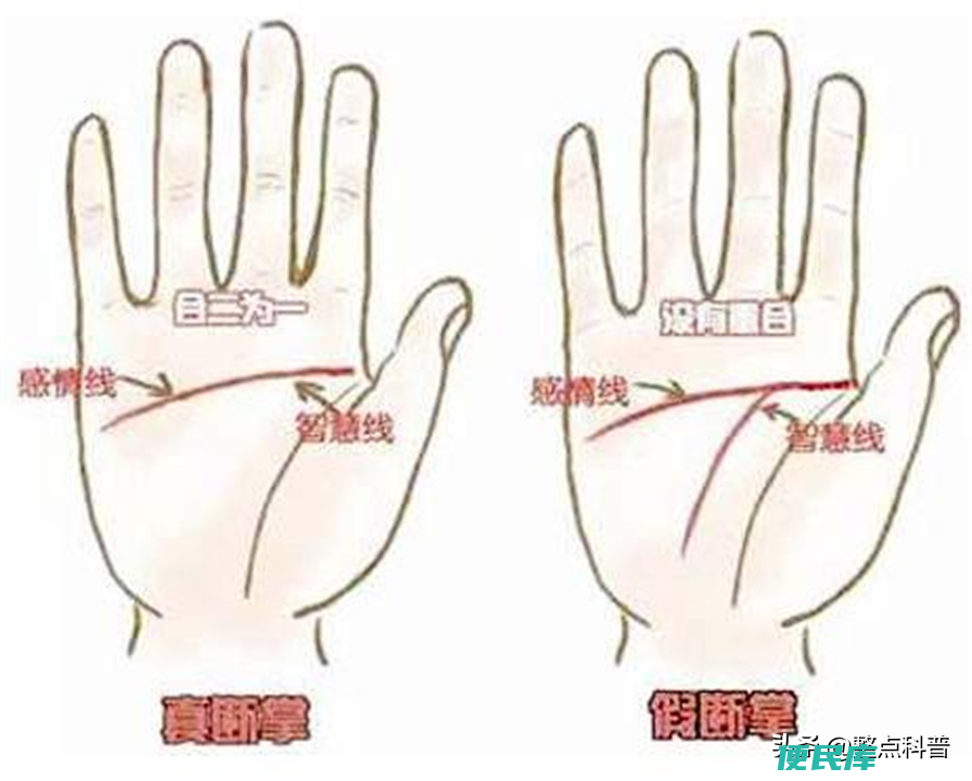 男人断掌代表什么（为什么俗话说男儿断掌千斤两呢）