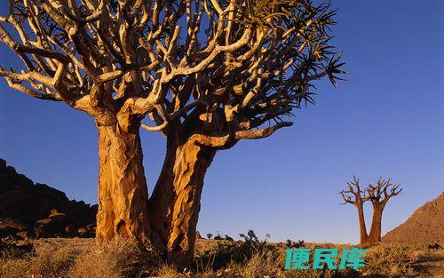 <font color='#ff7200'>南非的气候特点（说明南非独特的气候条件和特点</font>
