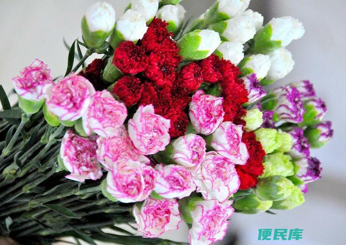 父亲节可赠送的鲜花推荐（介绍适合父亲节赠送的鲜花）