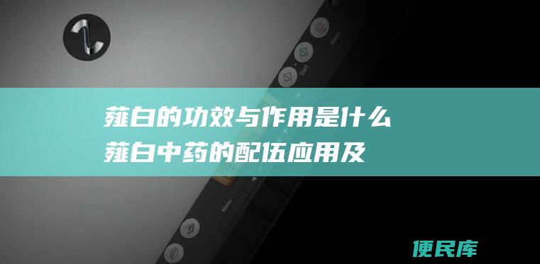 薤白的功效与作用是什么薤白中药的配伍应用及