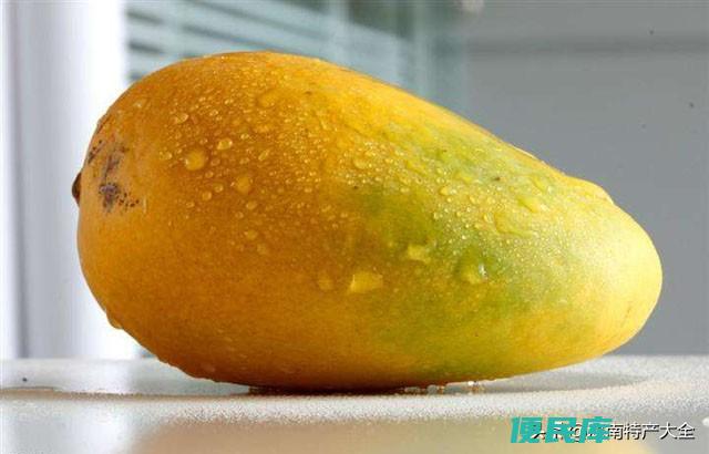 青的芒果怎么放熟得快（如何让芒果快速又安全得变熟）