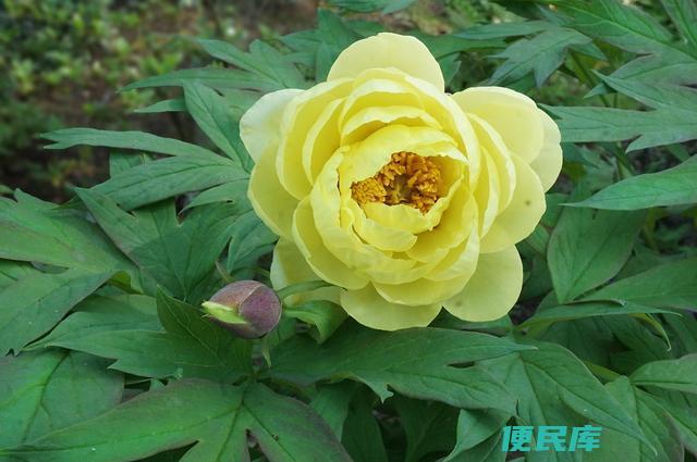 男人咋会看出女人的温柔（男人眼中真正温柔的女人）