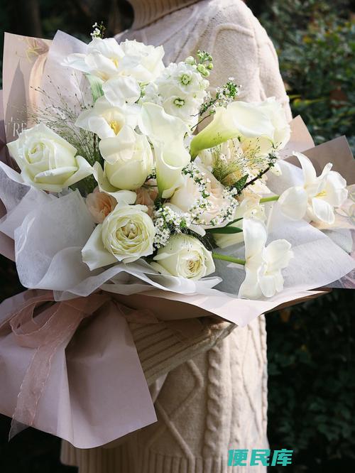 道歉花束花材选择（用什么花材来制作道歉花束）