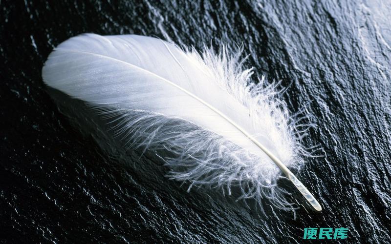 沉重的反义词是什么（寻找与沉重意义相反的词语或表达）