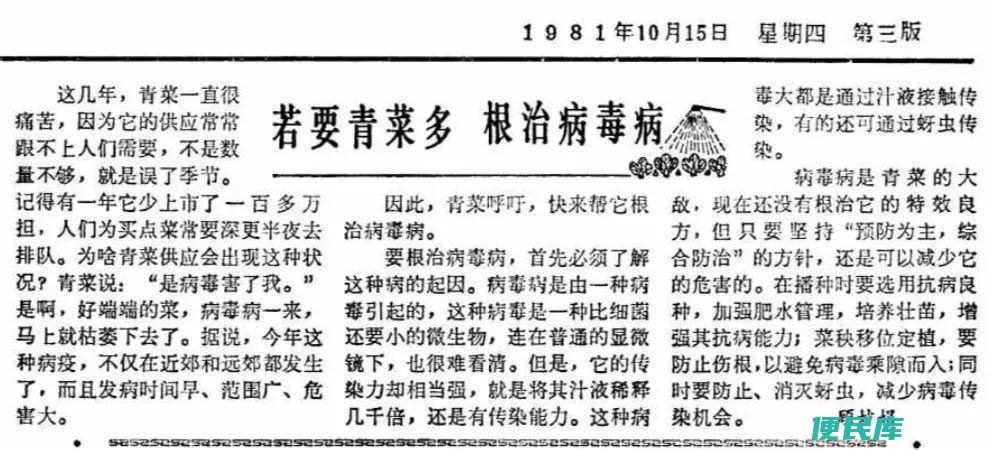 怎样区分上海青和油菜（上海青和油菜有什么区别吗）
