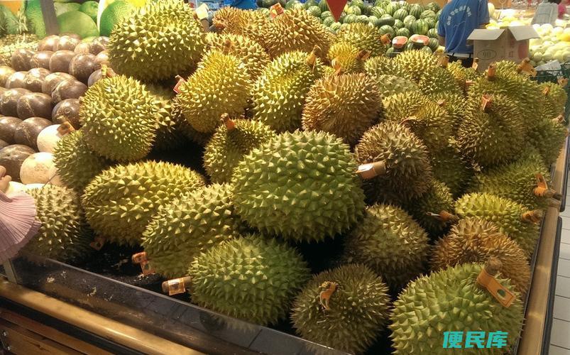 中国产榴莲的地方（介绍榴莲在中国的产地分布）