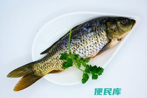鲤鱼能长多大（鲤鱼的最大体长）