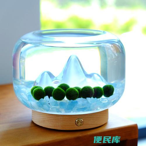 鱼缸是否适合作为礼物（讨论是否适合将鱼缸作为礼物赠送）