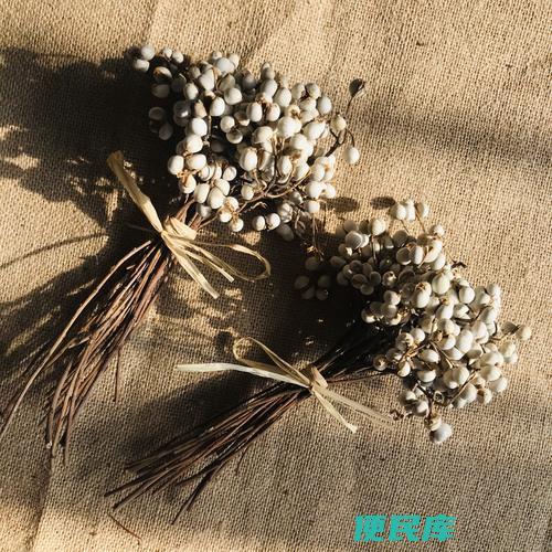 干花为什么不吉利（揭示干花所带来的不吉利意义）