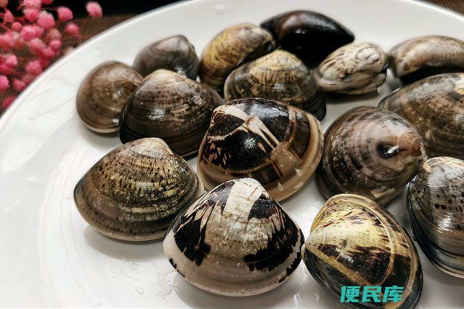 海鲜中的贝壳类（介绍常见的贝壳类海鲜品种）