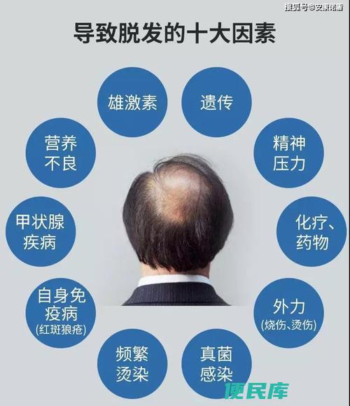 脱发原因解析（详细介绍脱发的常见原因和可能因素）