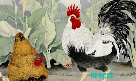 鸡的五行属什么（探讨生肖鸡的五行属相）