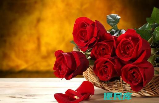 适合女生生日送什么花（推荐适合女生生日礼物的花卉）