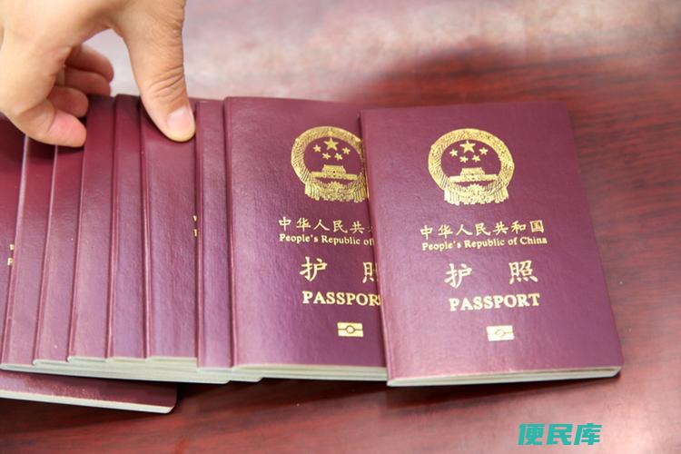 办护照所需证件（申请护照所需的相关证件）