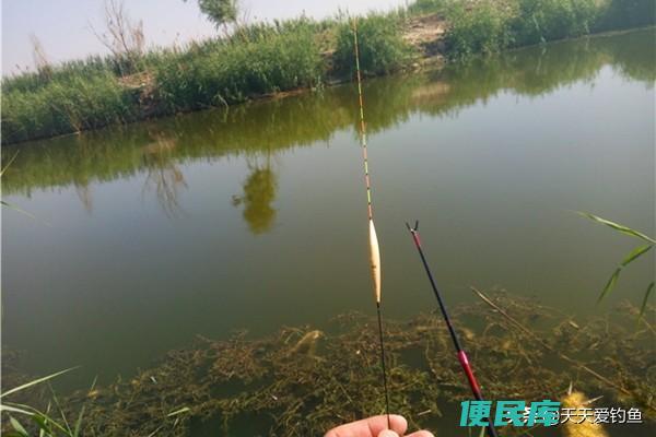 钓鱼怎么调漂（钓鱼调漂需要注意的问题和技巧有哪些）