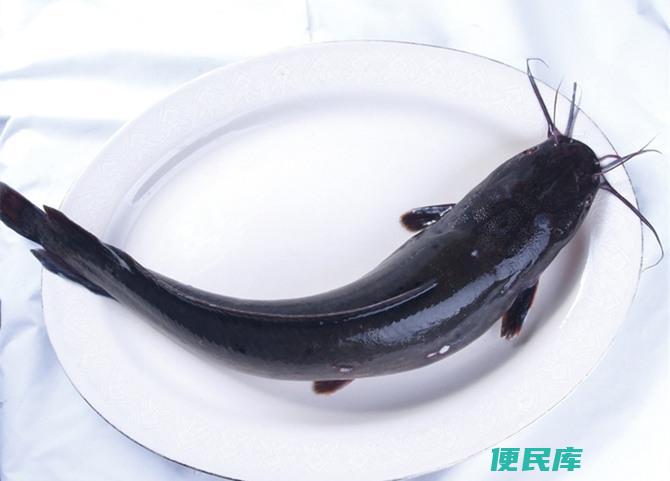 鲶鱼最佳诱饵选择揭秘（让钓鲶鱼事半功倍的饵料）