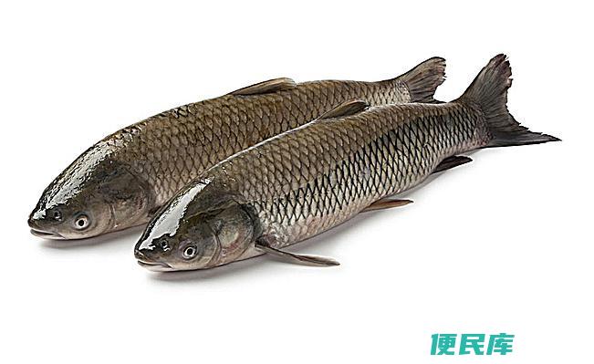 黑坑钓草鱼的顶级饵料（让草鱼不得不上钩的饵料）