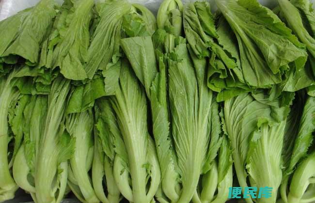 芥菜的性质是凉还是热（解释芥菜的性质与效应）