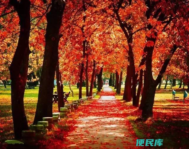 秋天是几月到几月（揭晓中国秋天的最佳旅游时间）