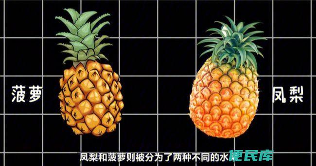 <font color='#ff7200'>凤梨</font>与菠萝的异同（揭示<font color='#ff7200'>凤梨</font>和菠萝之间的区别）