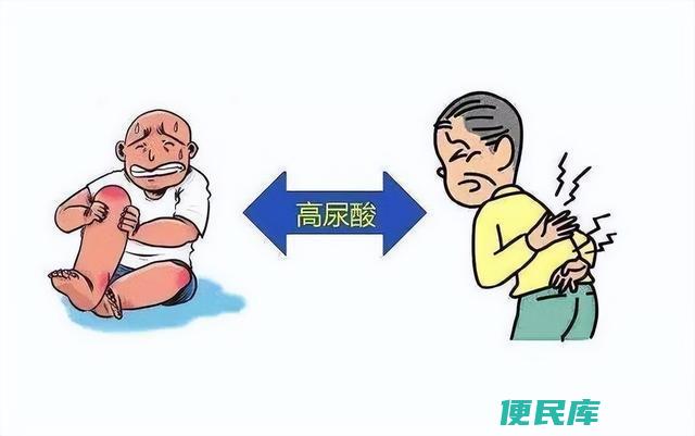 尿酸高的致因因素（探究引起尿酸高的原因和相关因素）