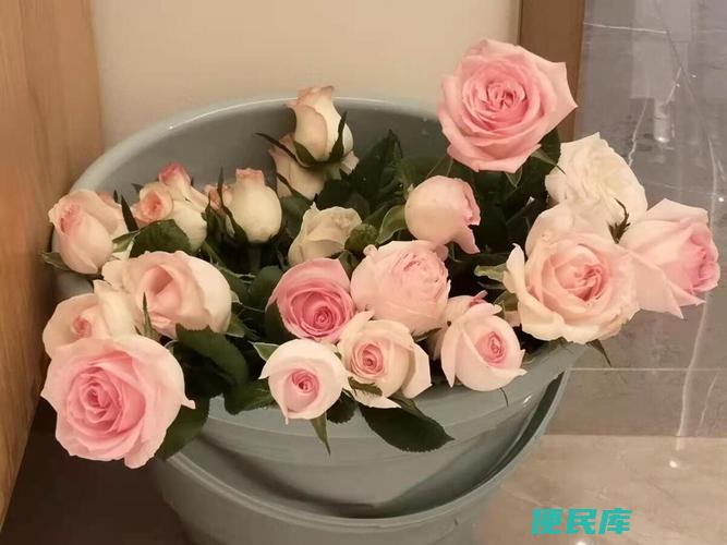 鲜花回家如何醒花（购买回家的鲜花如何使其盛开）