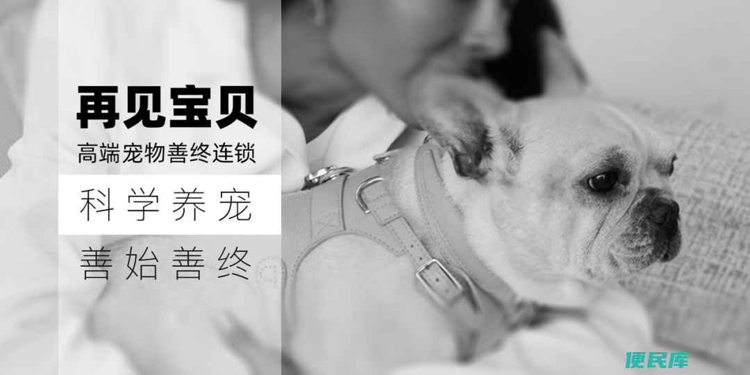 狗安乐死多少钱一针（什么时候该对宠物实施安乐死）