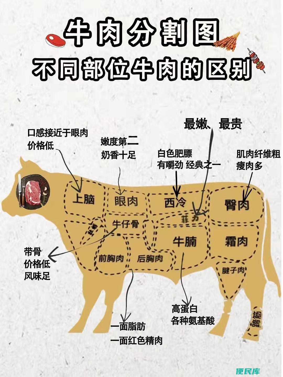牛里脊是哪个部位图解（牛肉的不同部位之间的口感区别）
