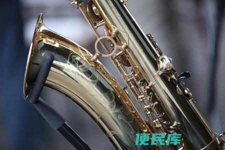 管弦乐的常见乐器（介绍管弦乐中常见的乐器种类）