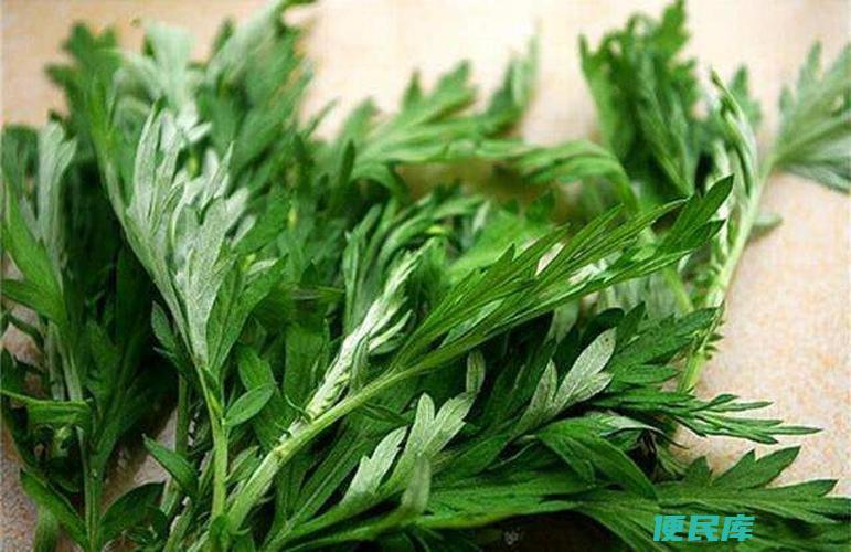 闻艾草对人体是否有害（评估闻艾草对人体健康的影响和注意事项）