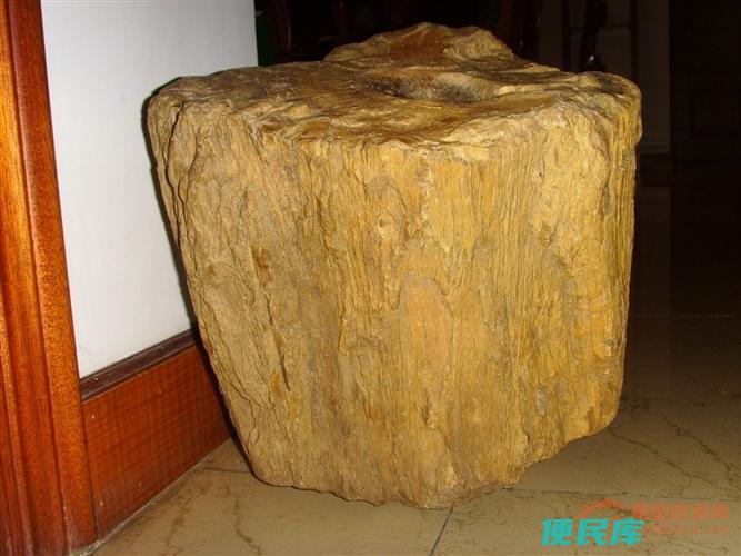 树种和玉石的联系（介绍树种与玉石之间的关系）