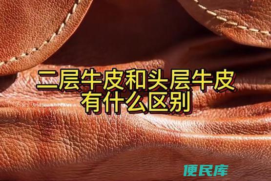 头层牛皮和二层牛皮的区别（详细解析真皮蛋糕的制作）