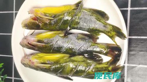 黄骨鱼怎么处理才干净（如何清洁黄骨鱼以去除鱼腥味）