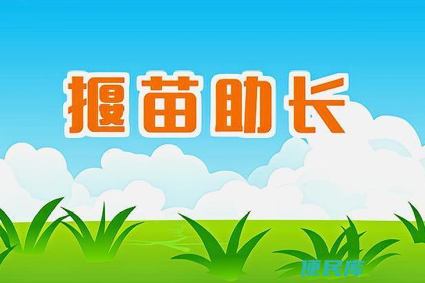 拔苗助长故事和道理（拔苗助长典故的起源和应用）