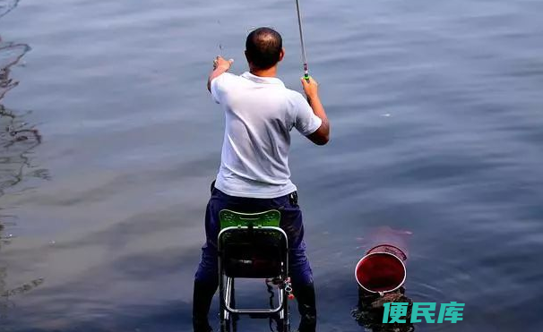 黑坑钓青鱼绝招(黑坑钓青鱼的秘诀)