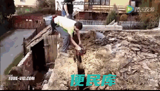 登高作业注意事项（登高作业一定要注意的事项和防护措施）
