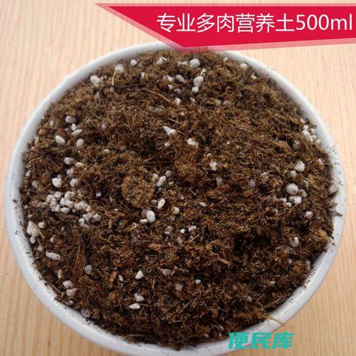 多肉植物用什么土（推荐适合多肉植物种植的土壤）