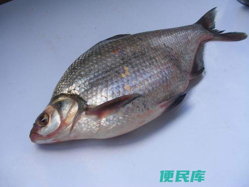 鳊鱼钓鱼最佳饵料攻略（选择最适合鳊鱼的饵料）