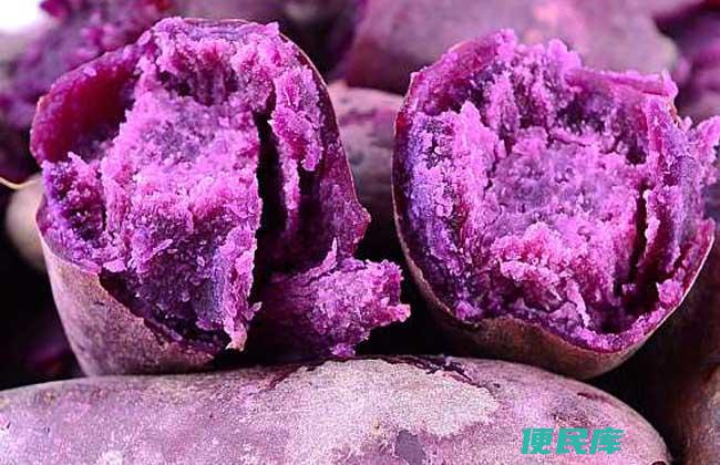 紫薯果实还是蔬菜（紫薯属于果实还是蔬菜类）