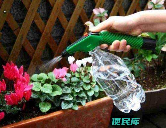 长久保鲜鲜花水的选择（鲜花用什么水养时间比较久）