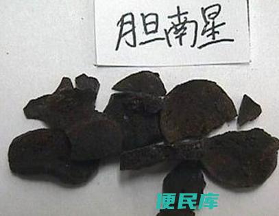 胆南星的功效与作用（介绍胆南星的药理作用和临床用途）