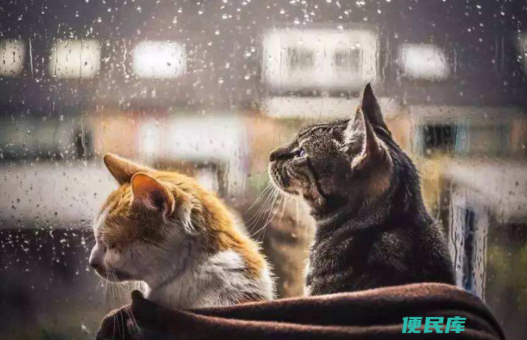 下雨天去哪里玩比较好（适合下雨天的5个好去处）