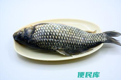 鲫鱼属于淡水鱼还是海水鱼（鲫鱼是属于淡水鱼还是海水鱼）