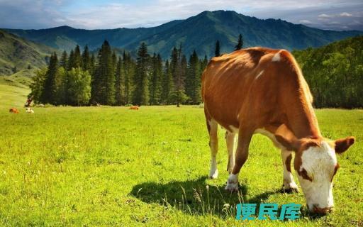 属相旺父母的三个生肖（三个属相的孩子旺父母）