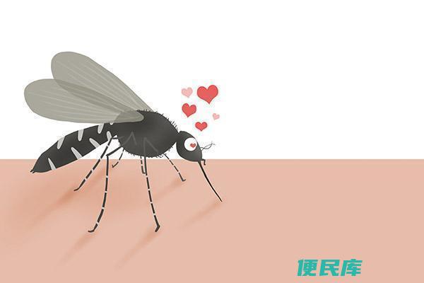 夜间蚊虫叮咬处理技巧（夜间被蚊虫叮咬后的处理方法）