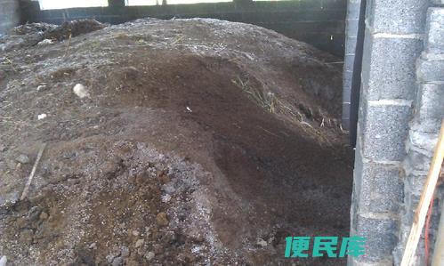 兔粪发酵制造有机肥（利用兔粪发酵制作有机肥的方法）